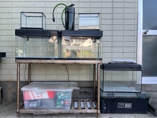 水槽60センチ　その他