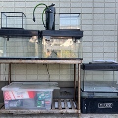 水槽60センチ　その他