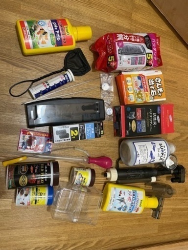 水槽セット　コリドラス1匹、ベタ1匹、ネオンテトラ数匹