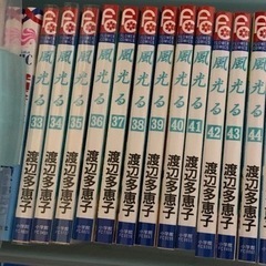 風光る　全巻　渡辺多恵子先生の画像