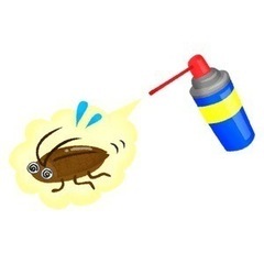 【緊急出動】ゴキブリ退治