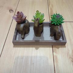 多肉　フェイクグリーン　ニトリ　観葉植物