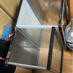 60センチ水槽