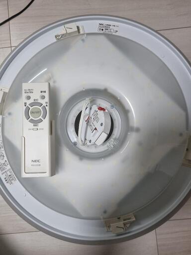 照明 NEC HLDZ06203