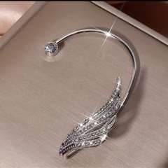 【美品】イヤリングフックの画像