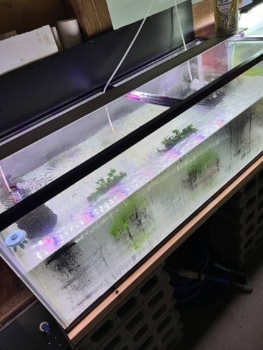 水槽　コトブキ1200水槽　アングル台他