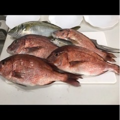 釣りメンバーを募集しています