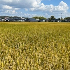 新米30キロ　小野市産❗️ヒノヒカリ