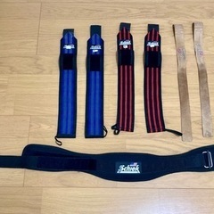 【値下げ中！】[シーク] Schiek トレーニングギア一式