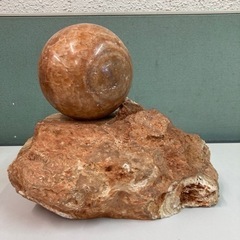 美品　鑑賞石 石 天然石 鑑賞石 原石 丸玉 天然 紫水晶 パワーストーン 鑑賞石 石 観賞 赤玉石 水石 貝化石 盆石 浦幌の画像