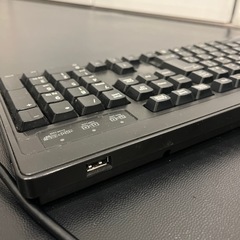 廃盤 USB2口付き ELECOM TK-FCM010BK キーボードの画像