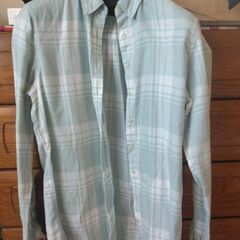 トミー　シャツレディース