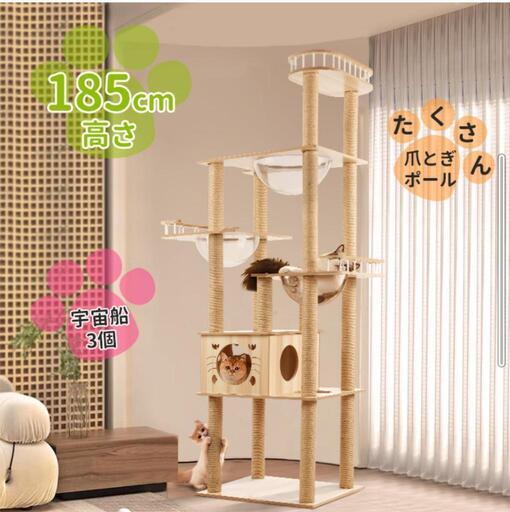 木製キャットタワー　10月購入の美品