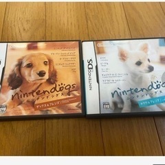 DSカセット　ニンテンドックス　2個セット