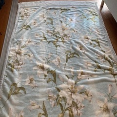 毛布 引き渡し限定