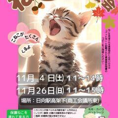 ねこ縁結びの会 /日向市 ―日向駅高架下―