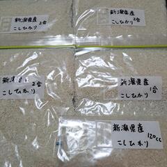 お米　もらって下さい！1️⃣(決まりました！)