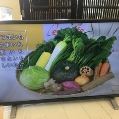 東芝　TOSHIBA REGZA スマートTV 32型液晶テレビ 32V34 2020年製