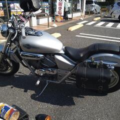 HONDA･ホンダ･マグナ･250･蓮田市より実働車の画像