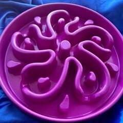 【美品】犬用 早食い防止皿 フードボウル 食器