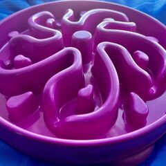 【美品】犬用 早食い防止皿 フードボウル 食器の画像