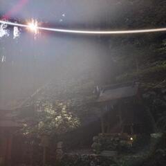 精神性を高め合う仲間募集✨