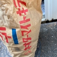 シロアリ駆除　値下げ中の画像