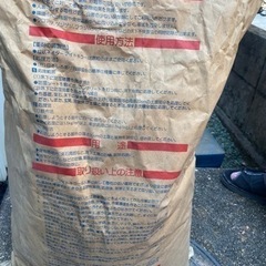 シロアリ駆除　値下げ中の画像