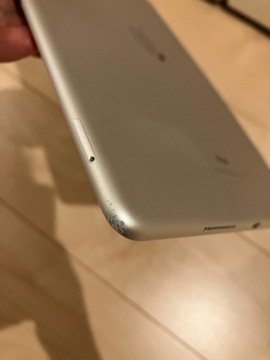 Apple iPad Pro 10.5インチ Wi-Fi ＋ Cellular 64GB シルバー SIMフリー セルラーモデル