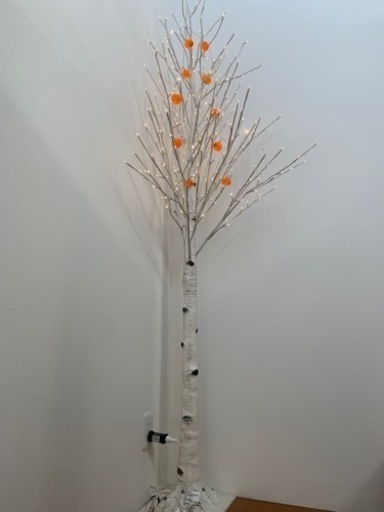 白樺ツリー　コストコ　室内室外