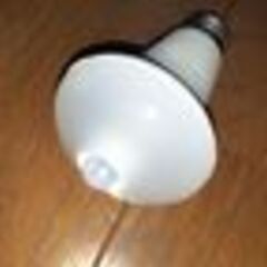 アイリスオーヤマ　人感センサーLED電球