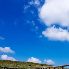 占いや心理学に興味のある方、自分を知りたい方いませんか？