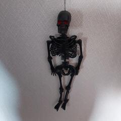 紐付き　骸骨　の画像