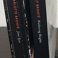 ブロンテ姉妹洋書2冊セット、ジェーン・エア、嵐が丘、シャーロット・ブロンテ、エミリー・ブロンテ、Brontë Sisters、Jane Eyre、Wuthering Heights 、 Charlotte Bronte、Emily Bronte、英語多読、イギリス文学、長編小説、名作の画像