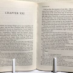 ブロンテ姉妹洋書2冊セット、ジェーン・エア、嵐が丘、シャーロット・ブロンテ、エミリー・ブロンテ、Brontë Sisters、Jane Eyre、Wuthering Heights 、 Charlotte Bronte、Emily Bronte、英語多読、イギリス文学、長編小説、名作の画像