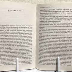 ブロンテ姉妹洋書2冊セット、ジェーン・エア、嵐が丘、シャーロット・ブロンテ、エミリー・ブロンテ、Brontë Sisters、Jane Eyre、Wuthering Heights 、 Charlotte Bronte、Emily Bronte、英語多読、イギリス文学、長編小説、名作の画像