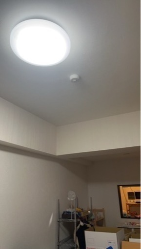 N ECルームライト
