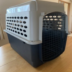 バリケンネル ML 大型犬