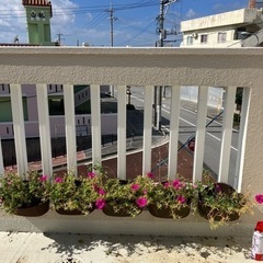 最終値下げ‼️壁掛け　吊り下げ　鉢‼️ 花の寄せ植え　５鉢全部で