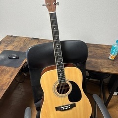 honeybee アコギ