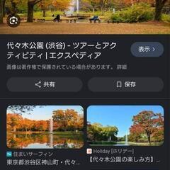 11/5日曜日❗代々木公園