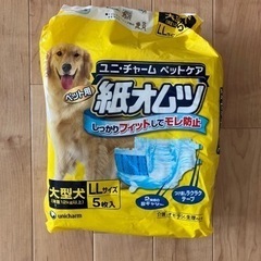 犬　オムツ