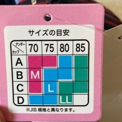 未使用新品　ブラジャーの画像