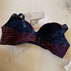 未使用新品　ブラジャーの画像