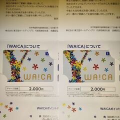 薬王堂 WA!CA 2枚 4,000円分