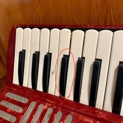 YAMAHA ソプラノ アコーディオンの画像