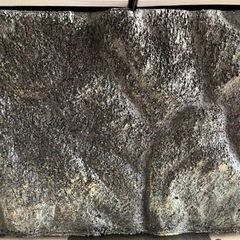 爬虫類用ゲージの画像