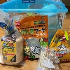 ハムスターのお家（フードや砂付き）小さいお家もプレゼントの画像