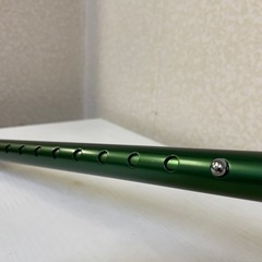 ステッキ、杖［ヒューゴ、グリーン］の画像