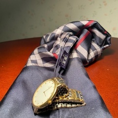 ご連絡下さった皆様、ありがとう存じます。引受けが決まりました。オメガ（デヴィル）バーバリースカーフ（絹100%）の画像